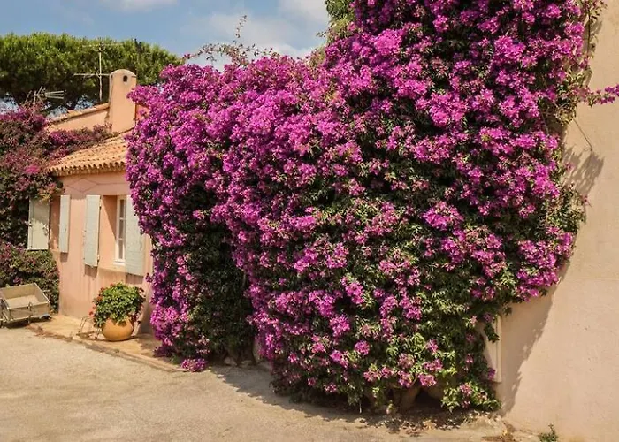 Esquinado Senior Lejlighed